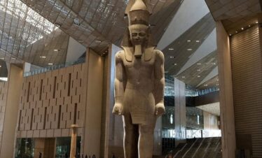 whatsapp image 2026 02 24 at 4.19.31 pm