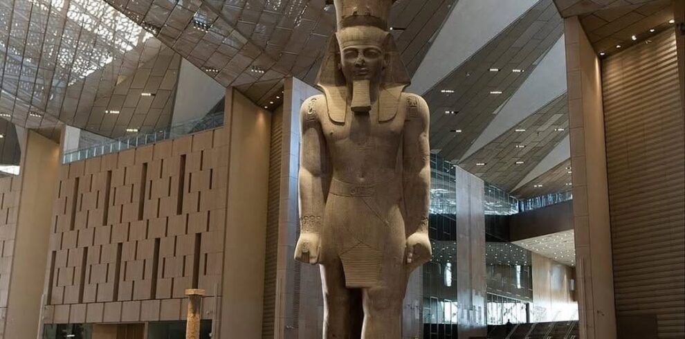 whatsapp image 2026 02 24 at 4.19.31 pm