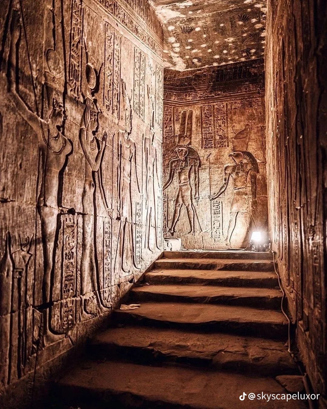 whatsapp image 2026 02 24 at 4.19.40 pm (2) copy