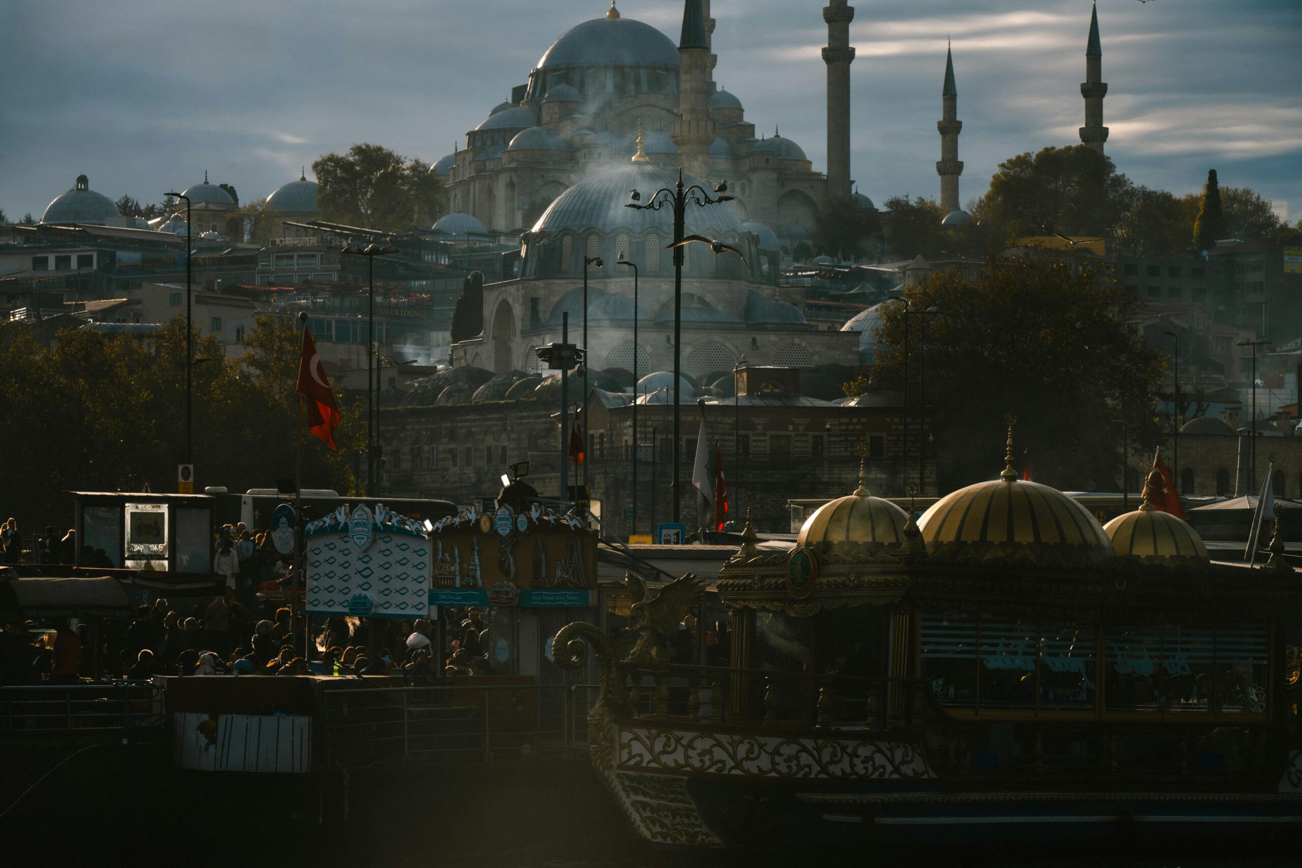 pexels alinson torres 2157639132 34892089