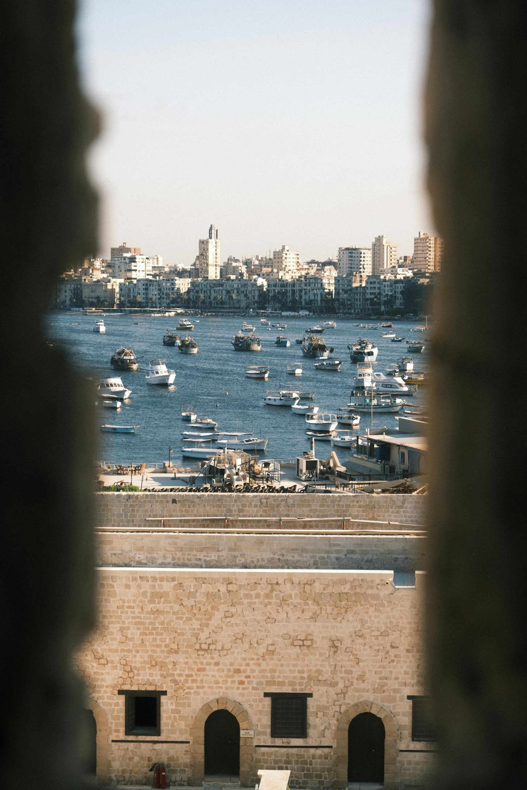 pexels mfbeki 35217885